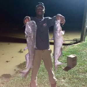 Meet your Posher, Tavion